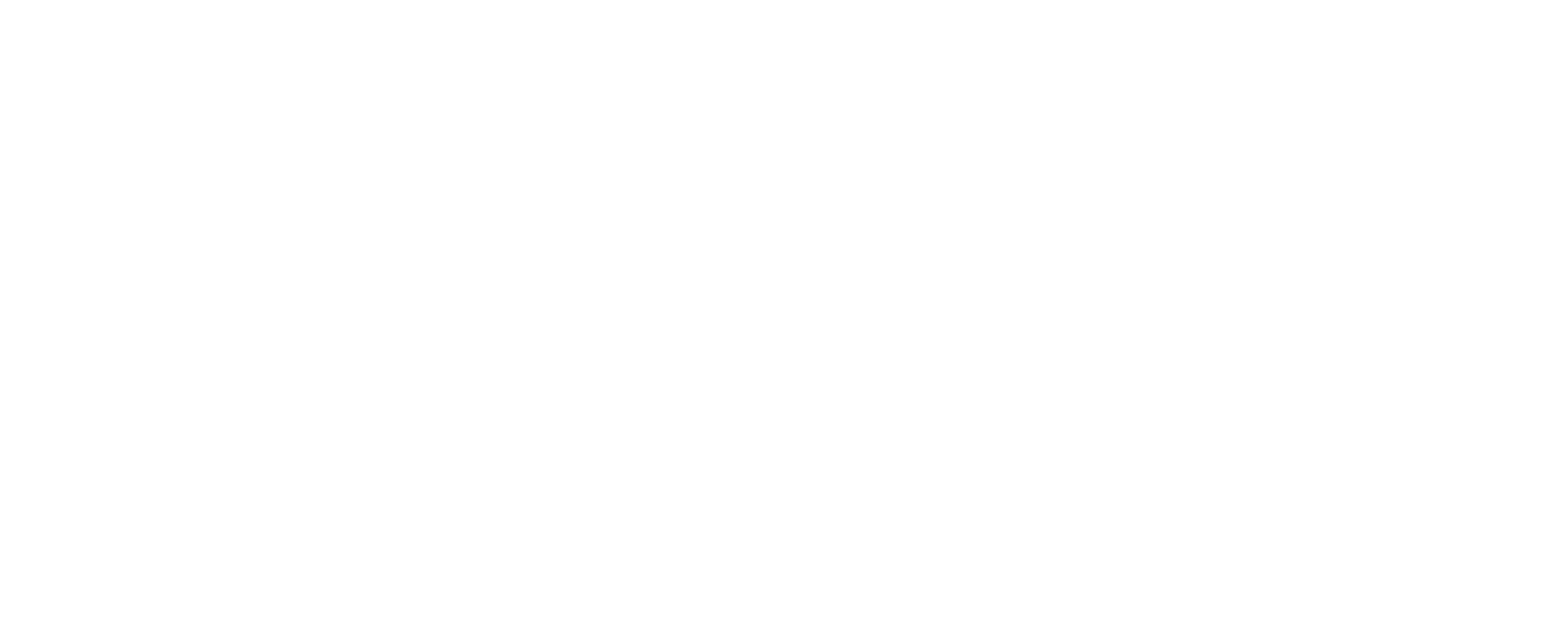 CVWGA logo inverse